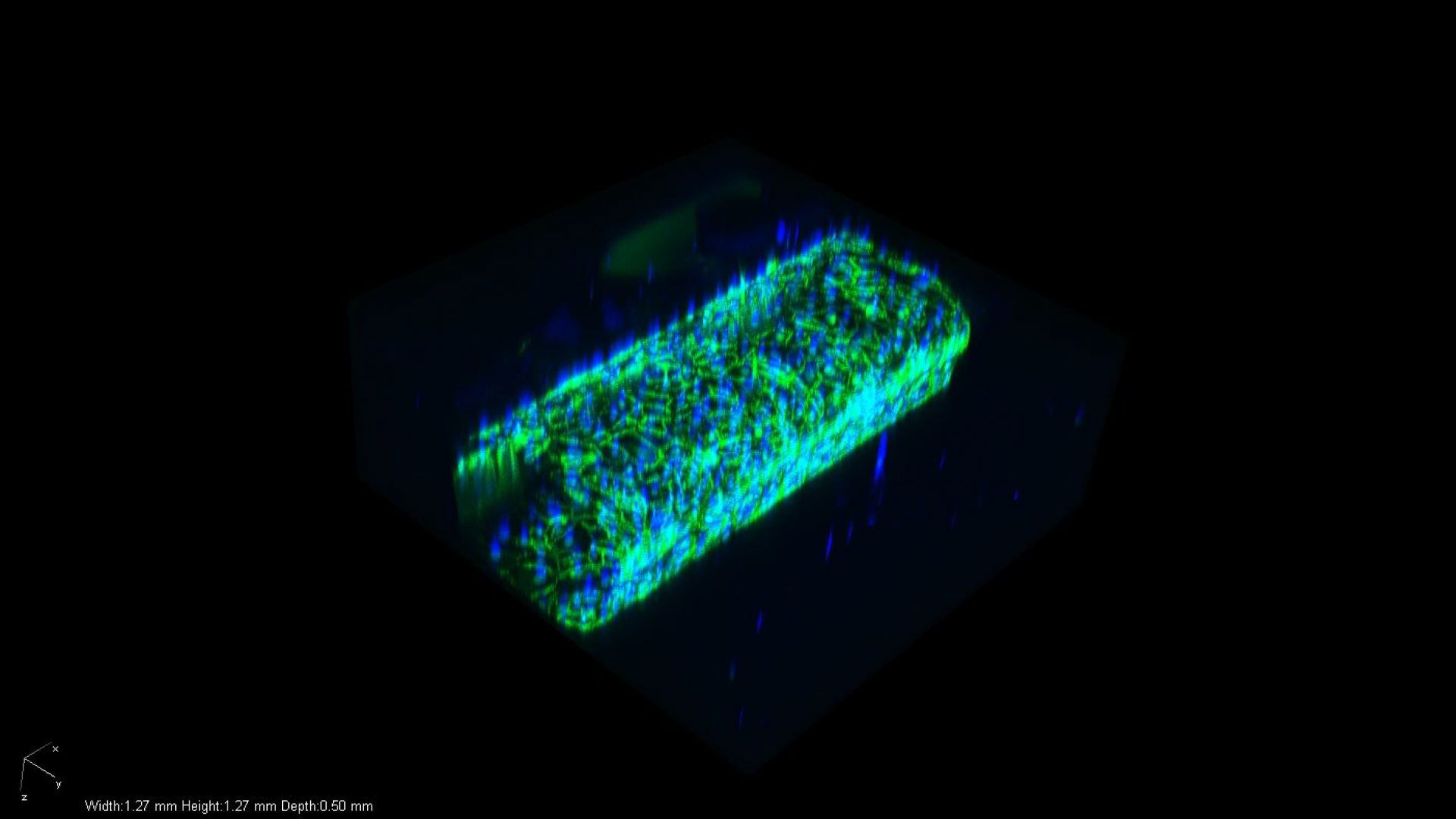 Cellular Biomechanics Laboratory